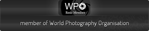 WPO - członek World Photography Organisation